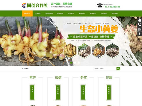 生姜种植基地定制网站